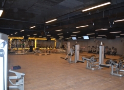 Humanitaire - Consultoria, Coach e Treinamento